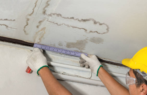 Affordable Water Damage Repair solutions in Auburntown, TN